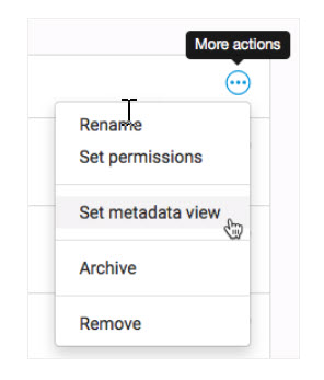 Set metadata view